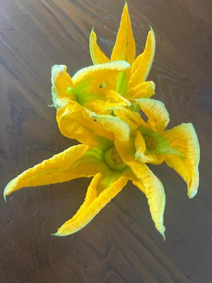 קסטליונה דלה פסקאיה Agriturismo Il Giardino Degli Olivi Appartamenti מראה חיצוני תמונה