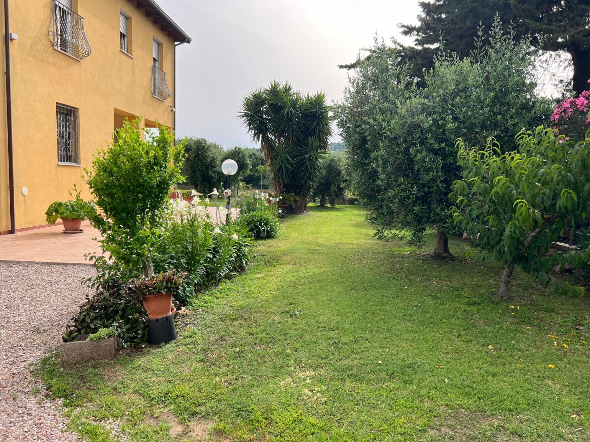 קסטליונה דלה פסקאיה Agriturismo Il Giardino Degli Olivi Appartamenti מראה חיצוני תמונה