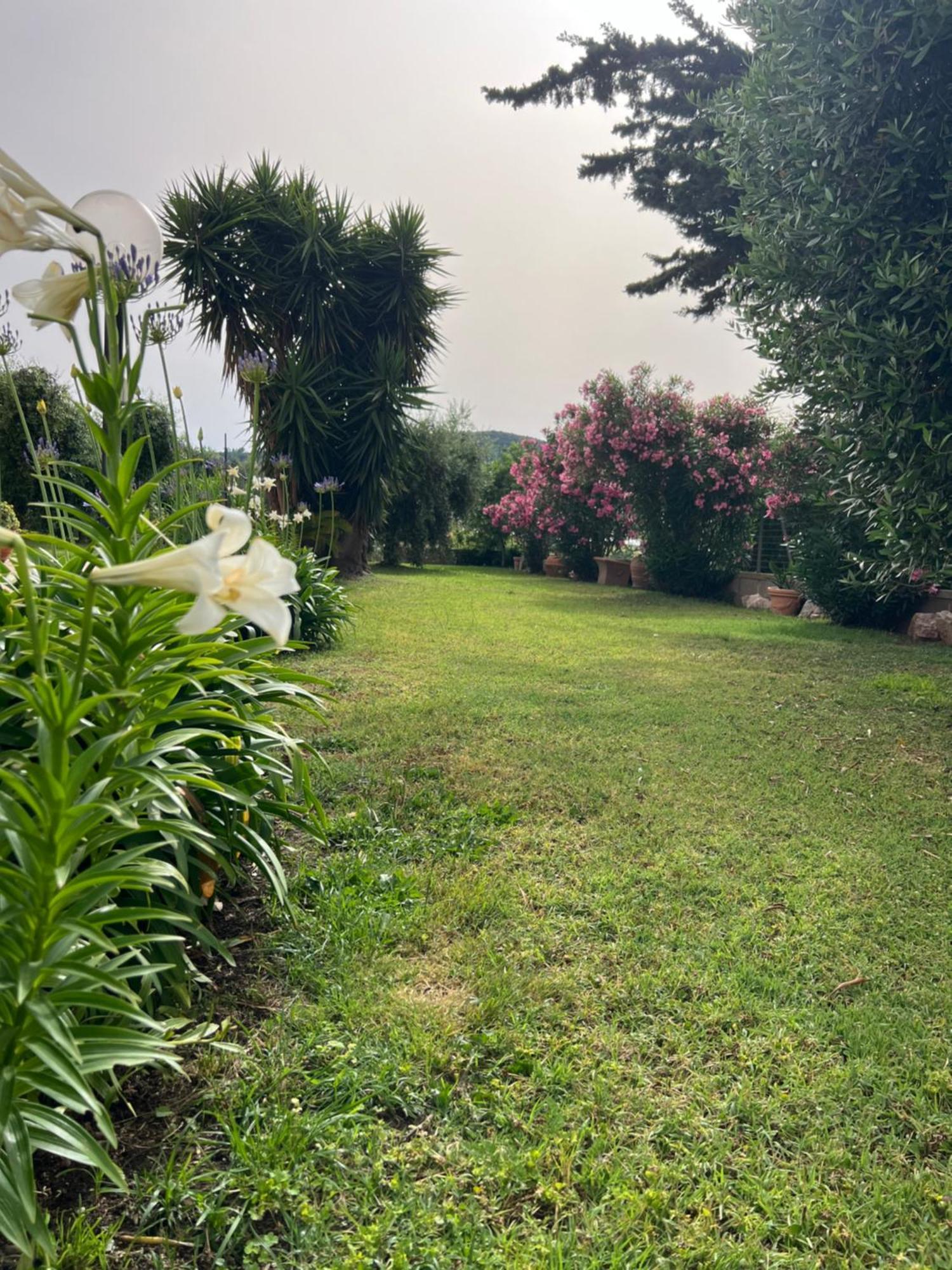 קסטליונה דלה פסקאיה Agriturismo Il Giardino Degli Olivi Appartamenti מראה חיצוני תמונה