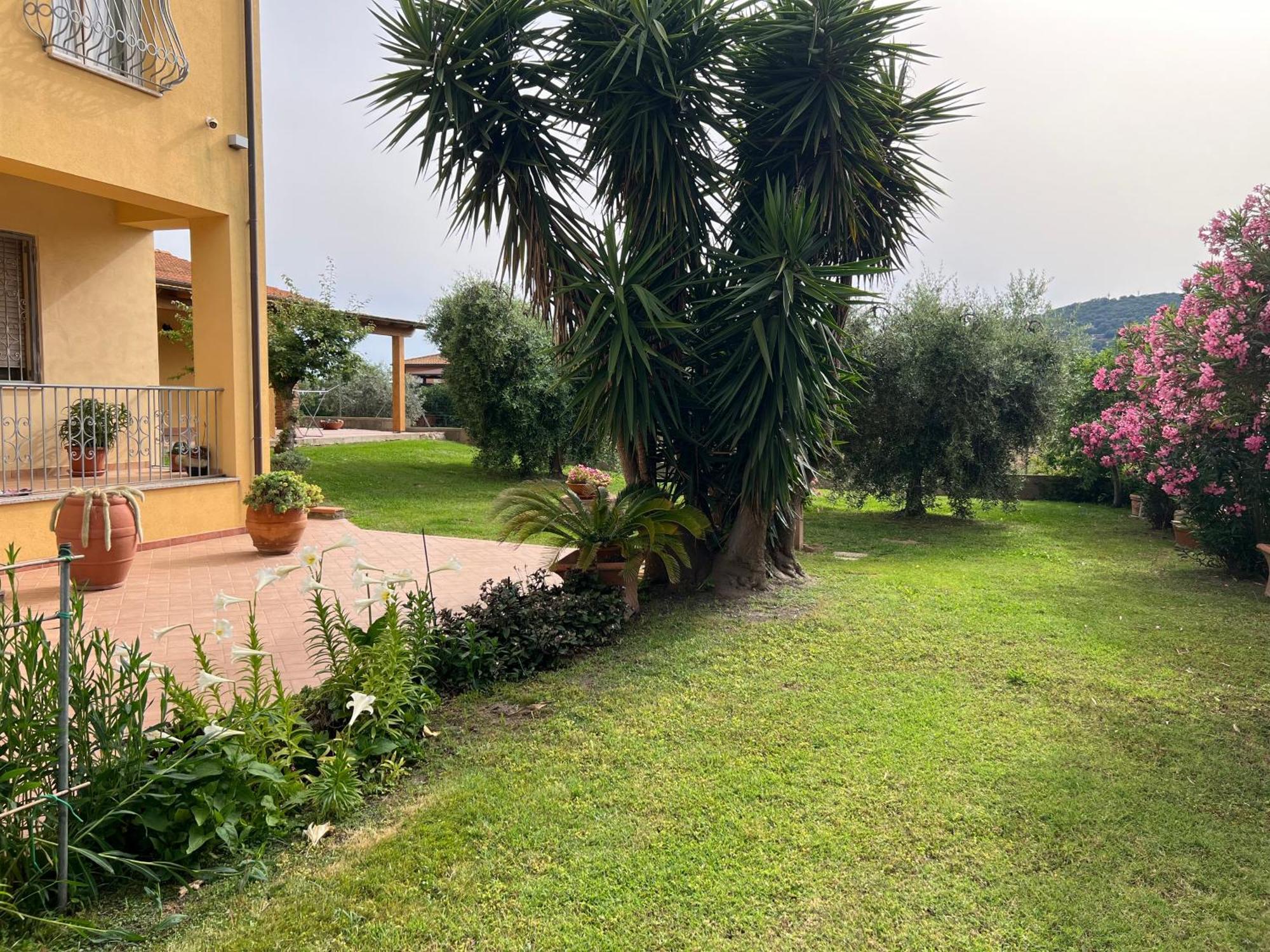 קסטליונה דלה פסקאיה Agriturismo Il Giardino Degli Olivi Appartamenti מראה חיצוני תמונה